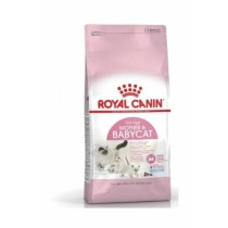 Royal CaninMother Babycat Yavru Kuru Kedi Maması 4 kg