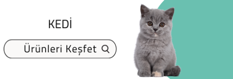 KEDİ