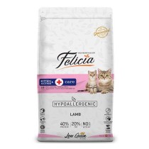 Felicia Kitten & Mother Kuzu Etli 12 kg Yavru Kedi Maması